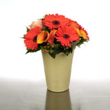 New Zealand For Her New Zealand,:Orange Terracotta Pot of Colour